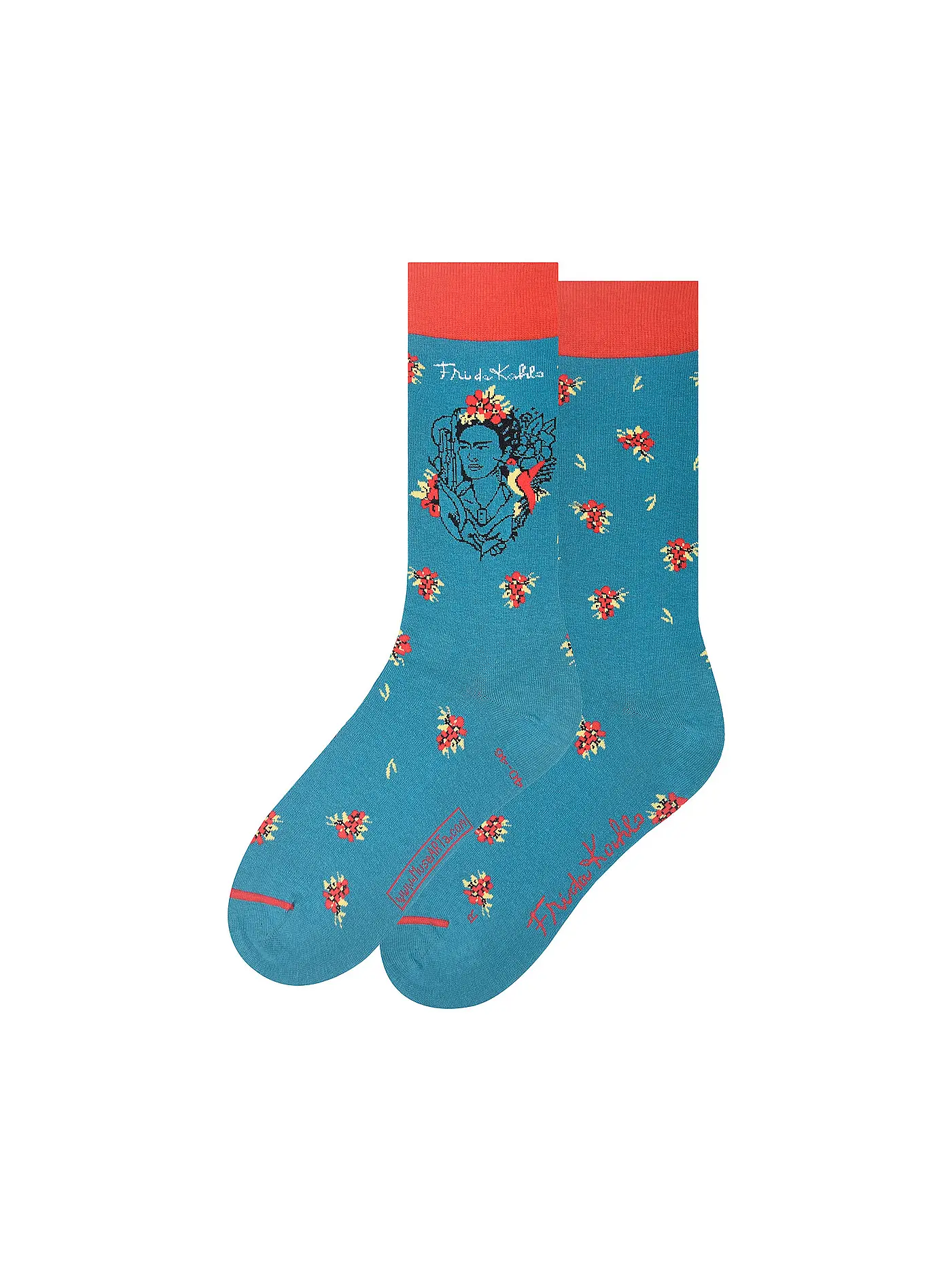 MUSEARTA | Herren Socken FRIDA WITH HUMMINGBIRD green (40-46) | 